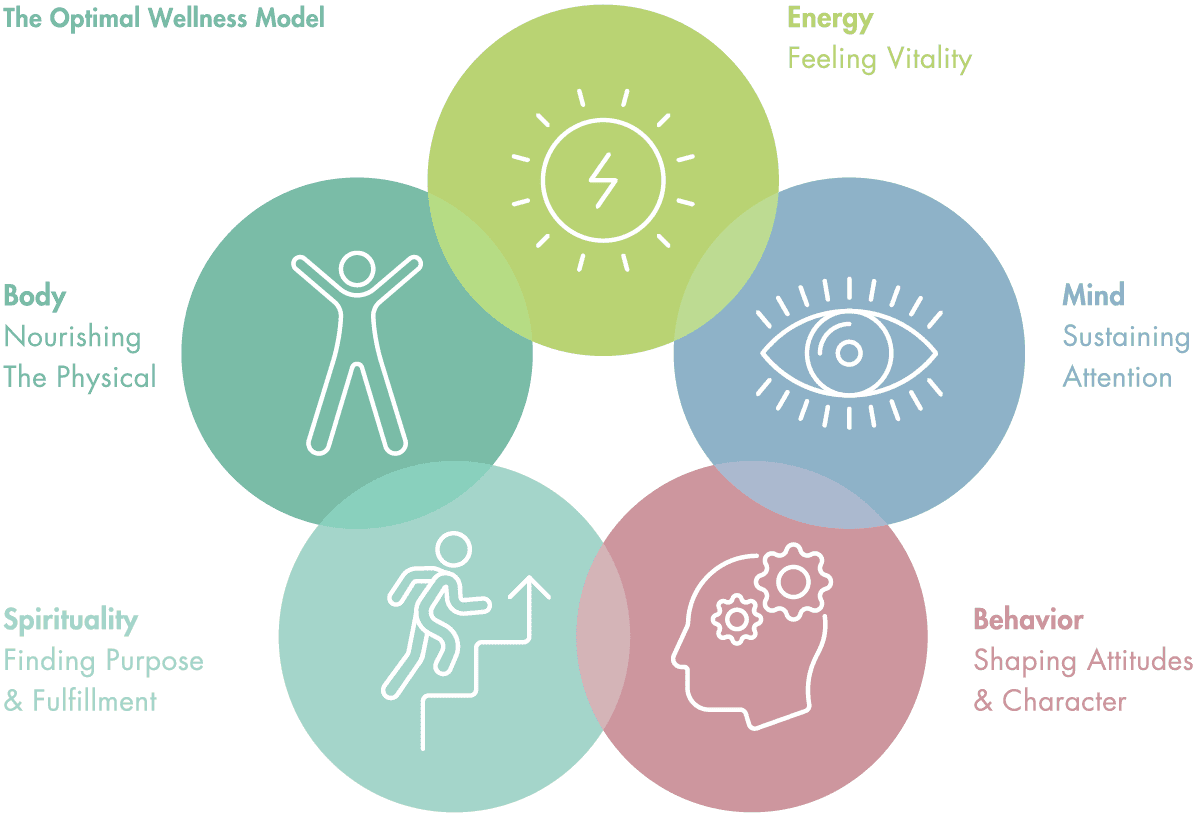 one-integrated-system-the-optimal-wellness-model-bijab